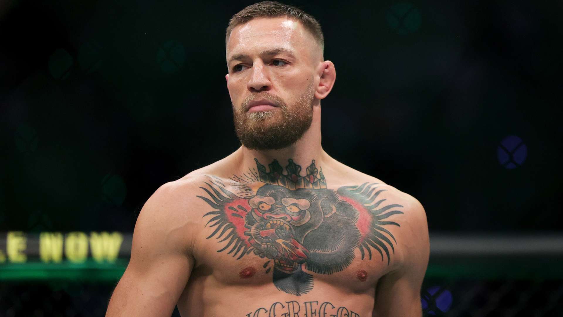 的个体能力 的个体能力