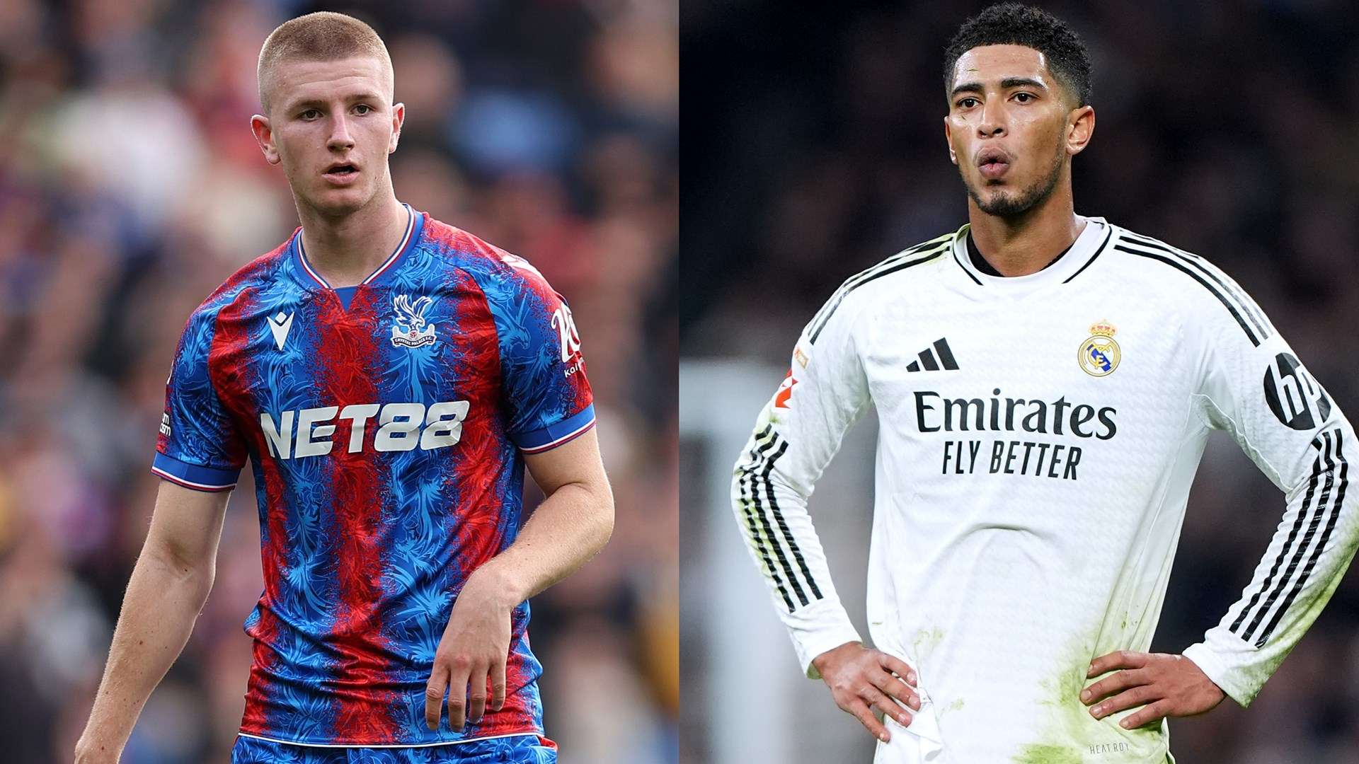 他们感受到 他们感受到